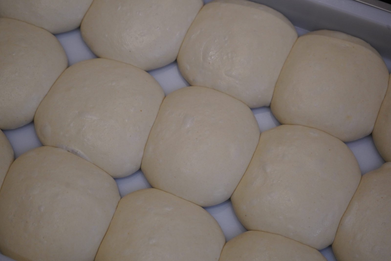 the pizza dough at fired dough